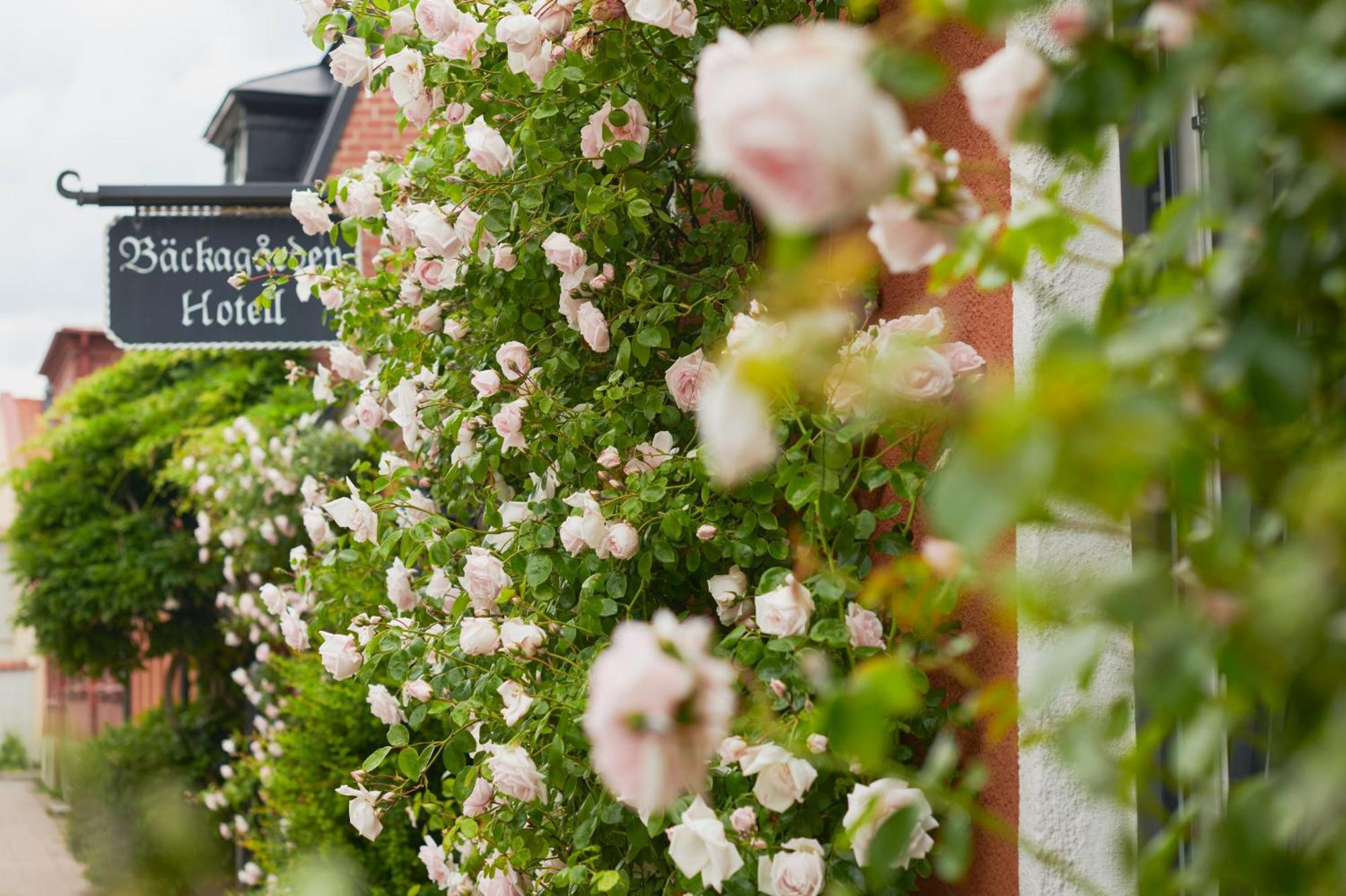 Hotell Baeckagarden Ystad Exterior foto